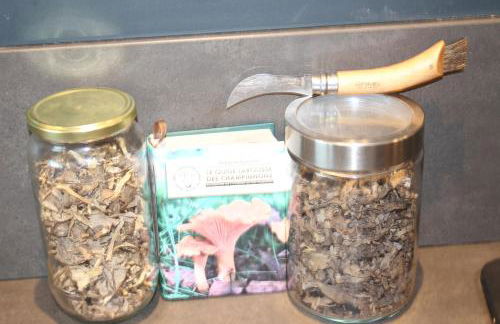 Gîte écologique proche Rocamadour & Gouffre de Padirac Vue vallée Dordogne - Foto 31