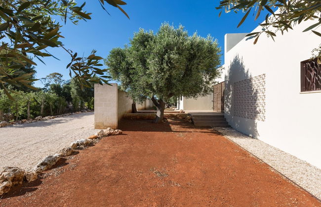 Villa Sofia - Foto 44