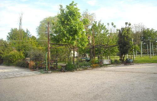 Agriturismo Loghino Sabbioni - Foto 52