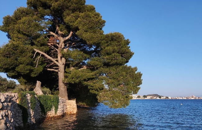 Stunning 2-bed House in Jezera With Sea Views - Foto 12