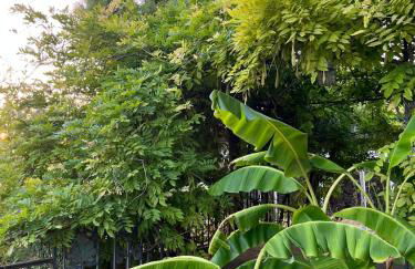 Agriturismo Tenuta la Monaca - Foto 45