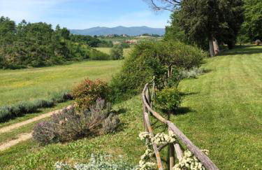 Salceta, a Tuscany Country House - Photo 7