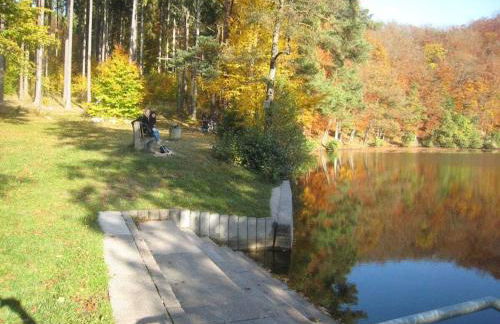 Holiday home Bauernhauschen in the Rhon - Foto 16
