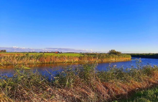 Cottage in Menaam Near Frisian Landscape - Foto 29