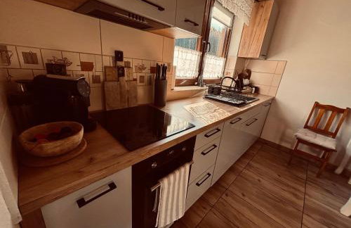 Bieszczady Żubrowe Wzgórze 785-049-543 - Foto 38