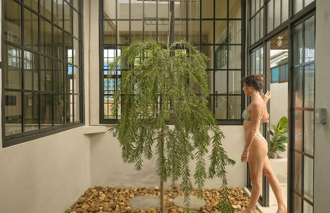 PAZ by DW - Photo 35