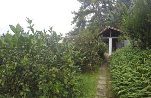 Aconchegante casa com piscina e lazer completo - Foto 80