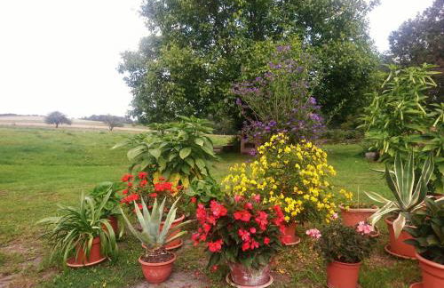 Ferienwohnung Herpich - Foto 20