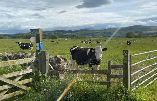 Honeysuckle Cottage - Photo 39