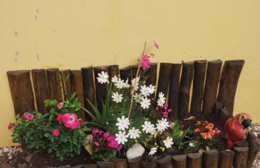 Recanto lua serena Brotas - Foto 10