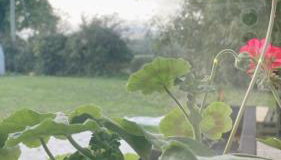 The Snug, Mayobridge - Foto 4