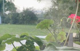 The Snug, Mayobridge - Foto 4