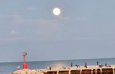 Cattolica Apartments - Foto 67