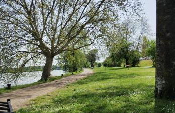 Bellavista Mantova - Foto 26