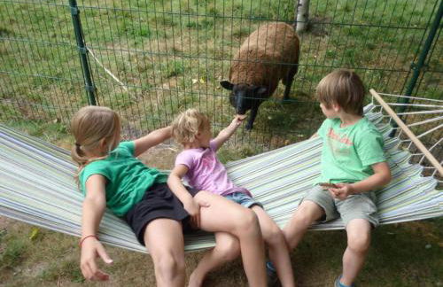 Farm Ferienhof Albert - Foto 26