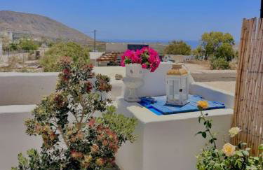 Rosalia Studio Megalochori - Foto 43