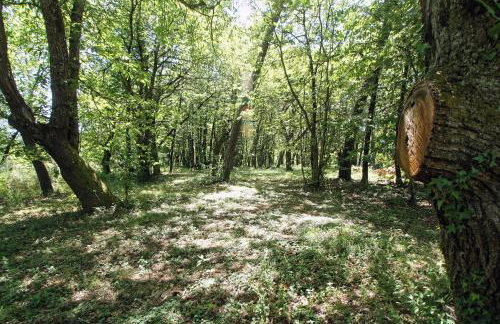 ETOILE D'ISIS, Gites a la ferme - Foto 44