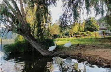 Ca' dei Berici - Relax tra Colli e città d'arte - Foto 23
