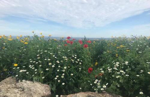 The Little Cabin - Foto 27