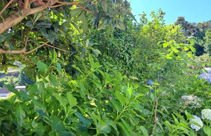 Casa Pinho - Foto 35