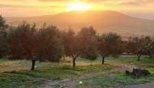 Villa Paquita - Foto 5