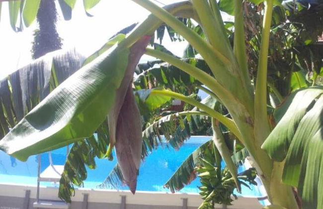 Agriturismo Ca' de Runde - Foto 21