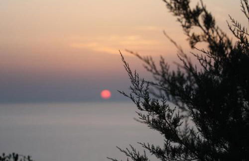 Domus de Janas - Foto 35