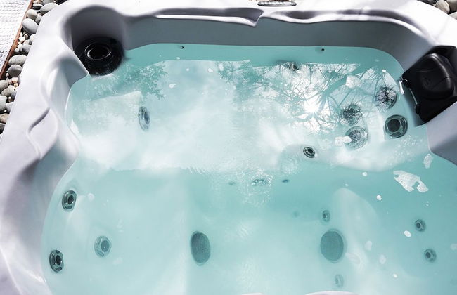 Les Landines - Foto 31