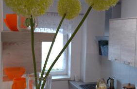 Agroturystyka Stokrotka - Foto 10