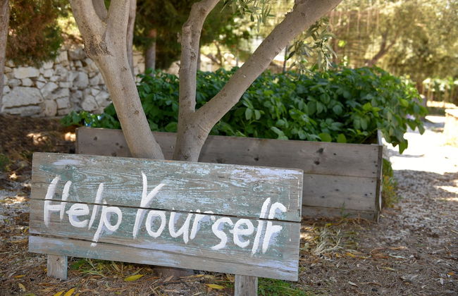 Good Life Greece Eco Villas - Foto 59