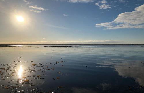 Cotton Shore - Foto 18