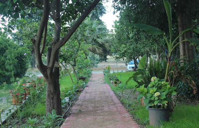 Naz Apart Cirali - Photo 19