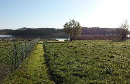 Ferienwohnung Müritzblick an der Müritz - Foto 22