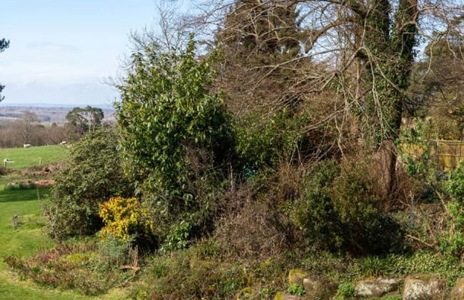 Large Country House in Ashdown Forest - Foto 47