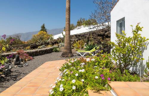 Casa Arándano - Foto 3