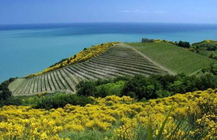 Attico Panoramico tra Verde e Mare con Giardino Deluxe - Foto 36