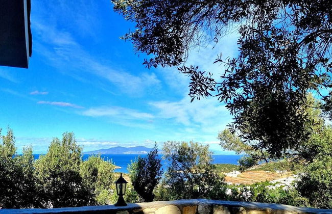 Sole Foca ( Ages 12+ ) - Foto 65