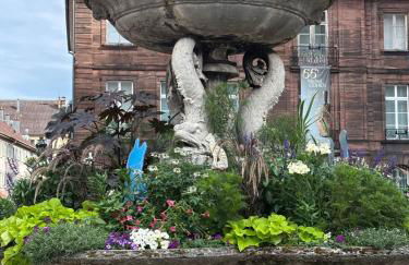 La Vue des Vignes - Foto 7