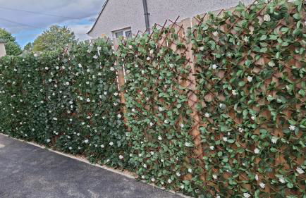 Florence House - Foto 20