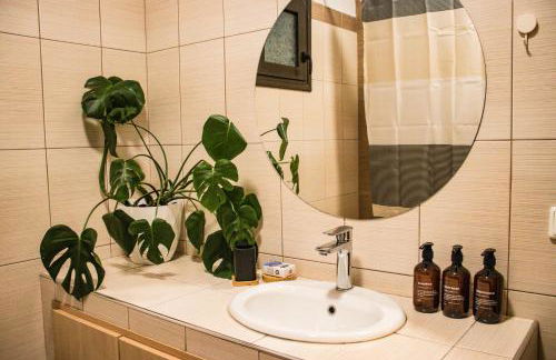 Diame Suite - Photo 16