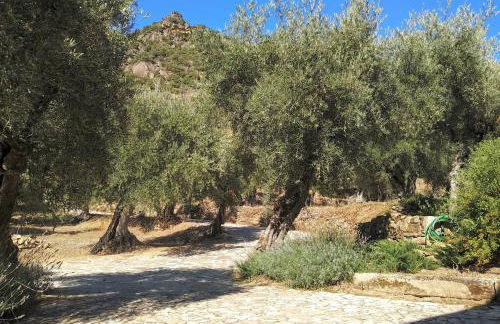 Quinta Vale de Carvalho - Foto 49