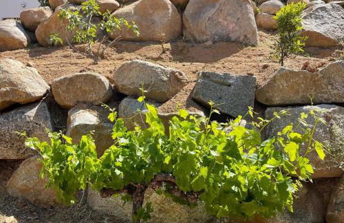 Villa Bianca - Foto 9