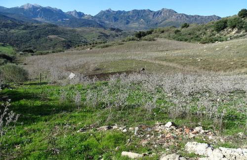 cortijo la laguna - Foto 45