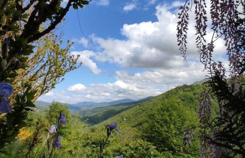 La Grange de l'Ours - Foto 7