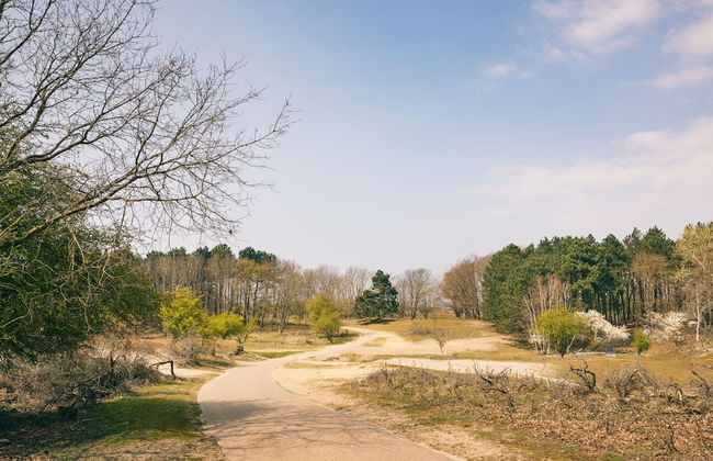 Sunny Dunimar Retreat - Photo 44