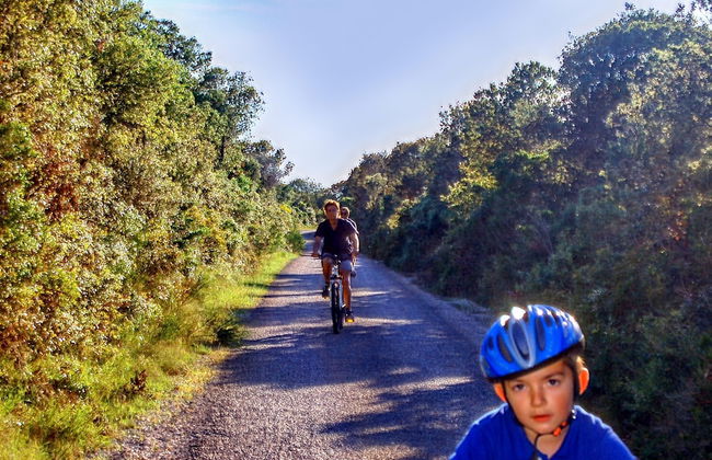 Nice Apartment With Roofed Terrace, Near the Sea - Foto 51