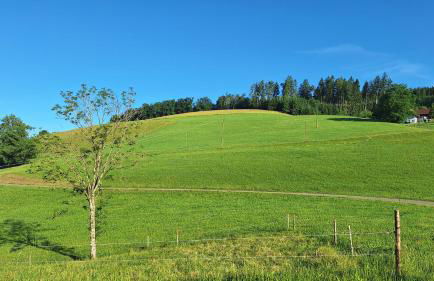 Ferienwohnung Landliebe - Foto 32