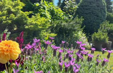 LAWENDOWA PRZYSTAŃ - dom nad rzeką - Brenna, 10 osób, sauna, balia z jacuzzi, ogród, plac zabaw - Foto 77