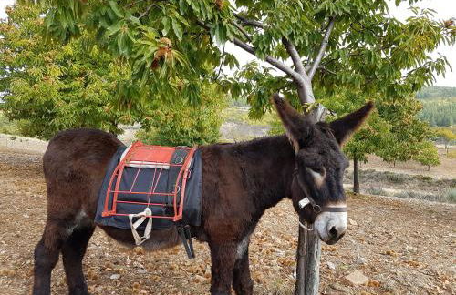 Apimonte Casa do Serra - PN Montesinho - Foto 71