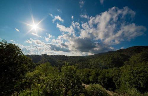 Agriturismo di Charme e Ristorante Stallato Il Filo di Paglia - Foto 31